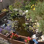 Couette-café Fra E Fe Arborea