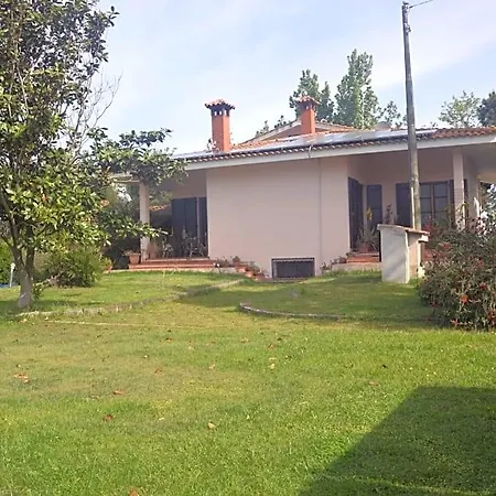 Fra E Fe Arborea
