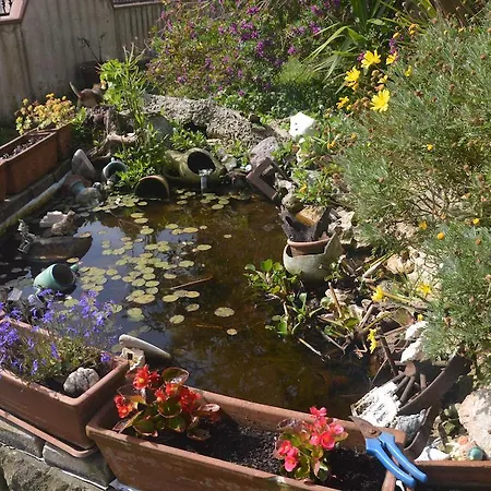 לינה וארוחת בוקר Fra E Fe ארבוראה