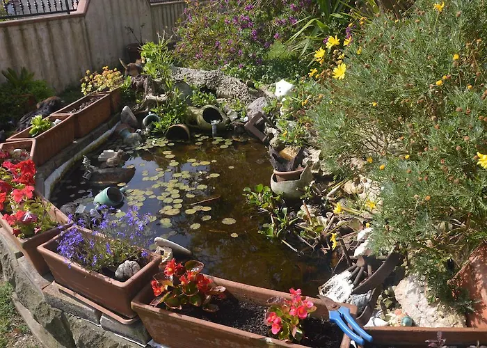住宿加早餐酒店 弗拉费住宿加早餐旅馆 阿尔博里亚